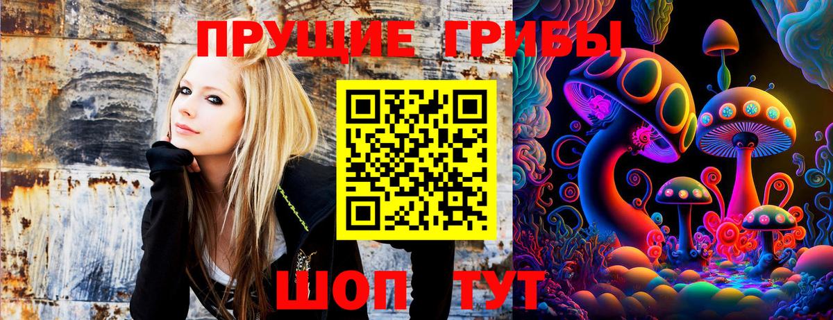 Благодарный  Галлюциногенные грибы Psilocybe  цены наркотик  Вход с VPN 