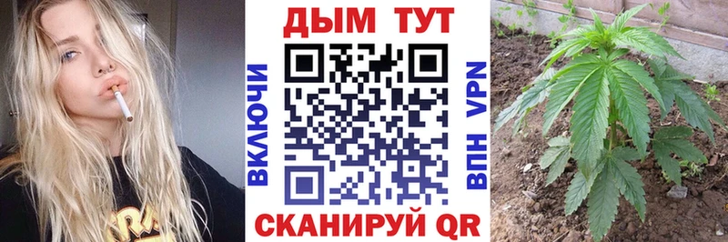 Канабис OG Kush Благодарный