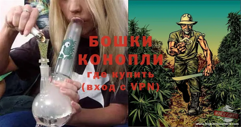 Конопля SATIVA & INDICA  Благодарный 